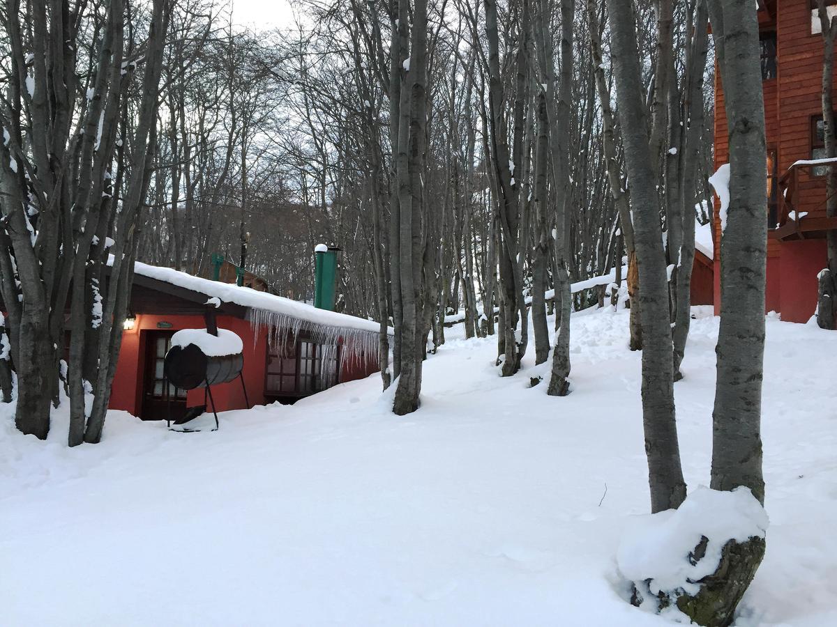 Cabanas Bosque Del Faldeo أوشويا المظهر الخارجي الصورة