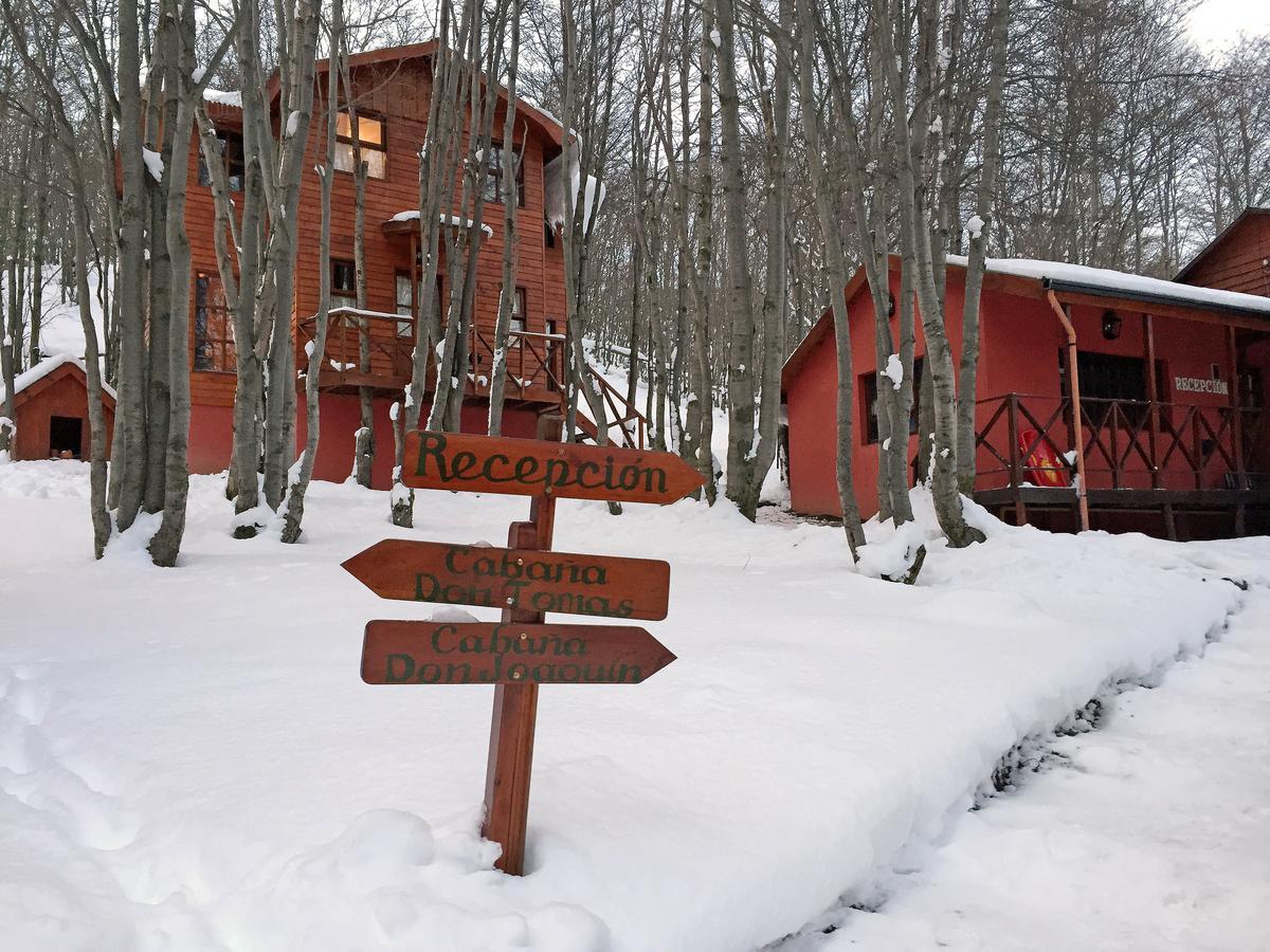 Cabanas Bosque Del Faldeo أوشويا المظهر الخارجي الصورة