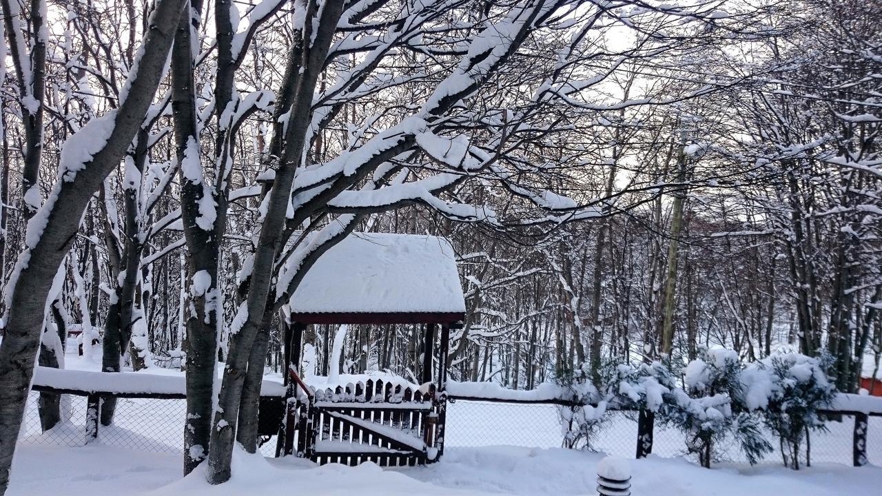 Cabanas Bosque Del Faldeo أوشويا المظهر الخارجي الصورة
