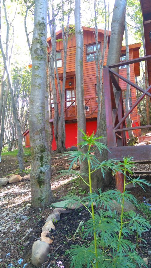 Cabanas Bosque Del Faldeo أوشويا المظهر الخارجي الصورة